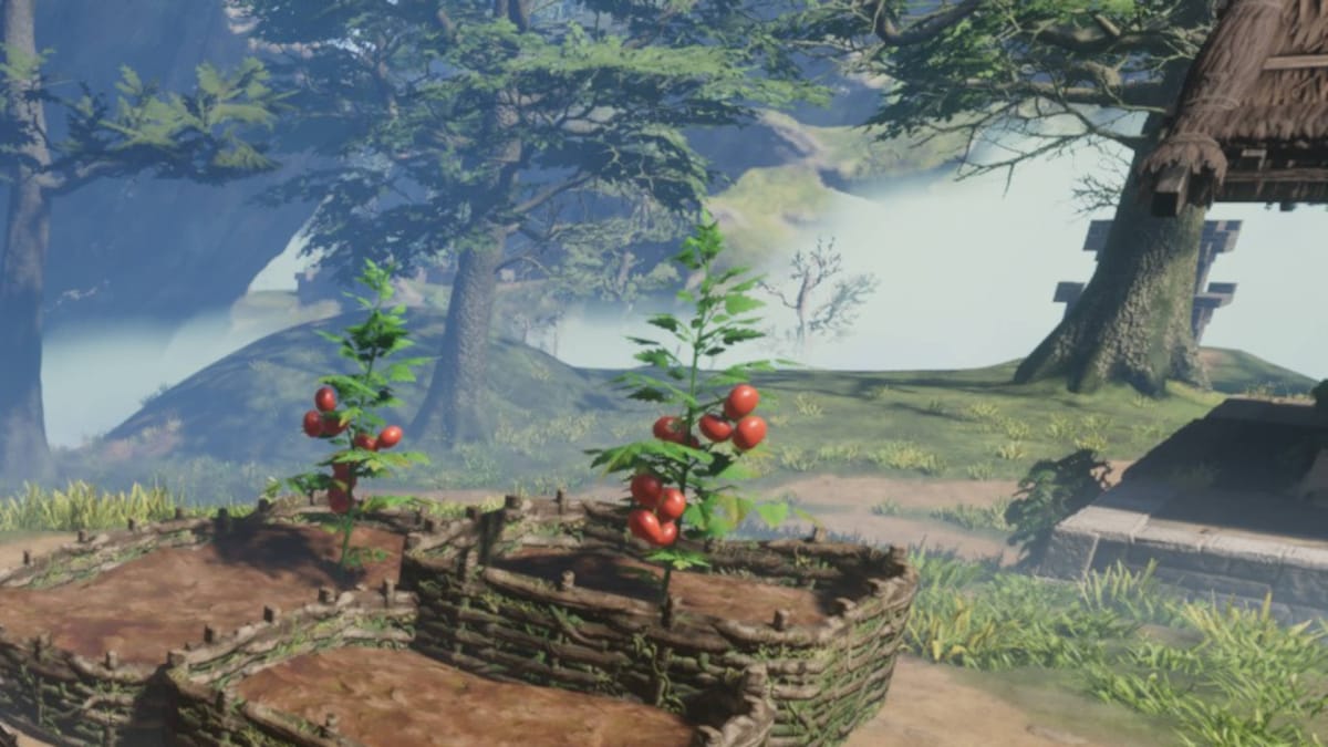 Tomato plants in an abandoned farm in Enshrouded's Springlands biome