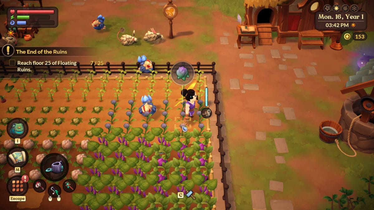 Fae Farm Review - A Chickoo Phases Through a Fence While I'm Trying to Water my Crops