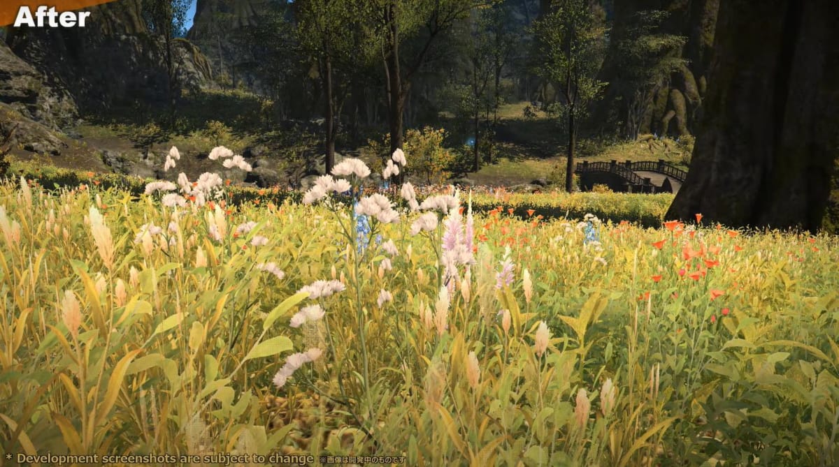 Final Fantasy XIV Graphical Update Grass After