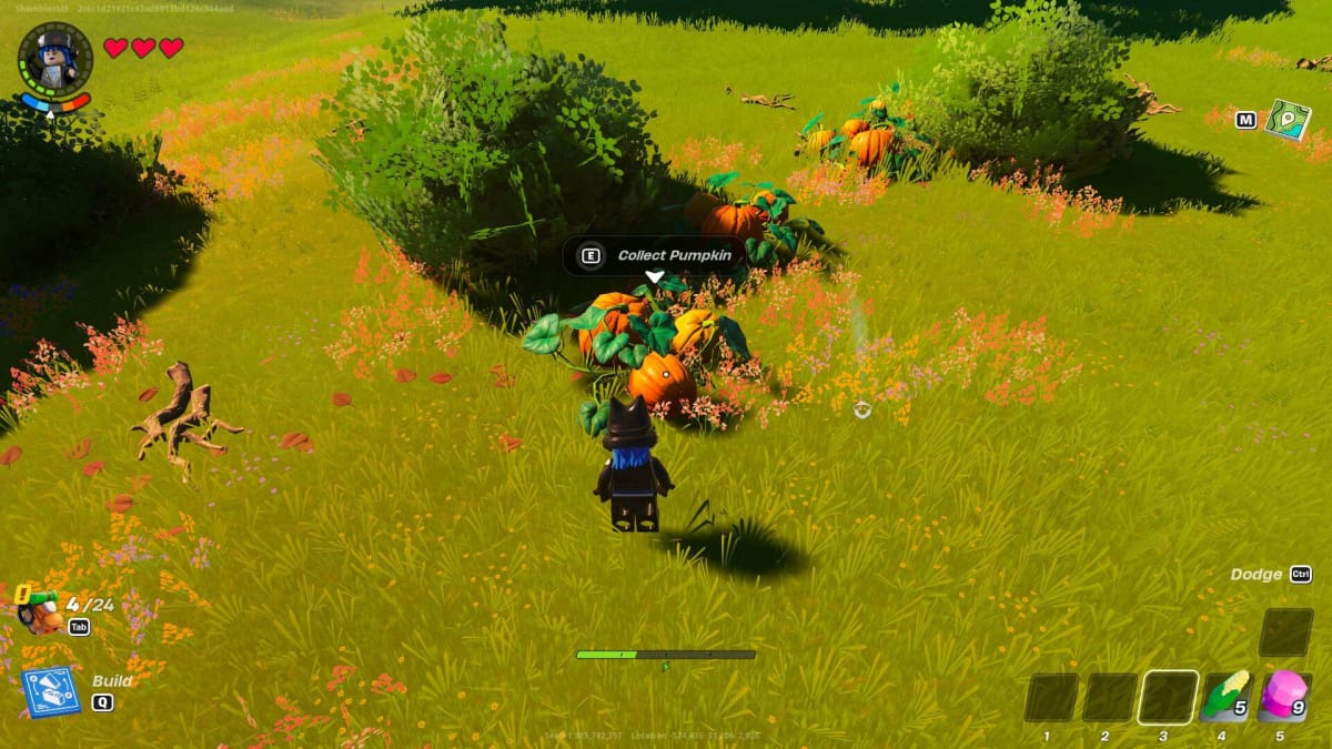 Gathering Pumpkins in the Grasslands.