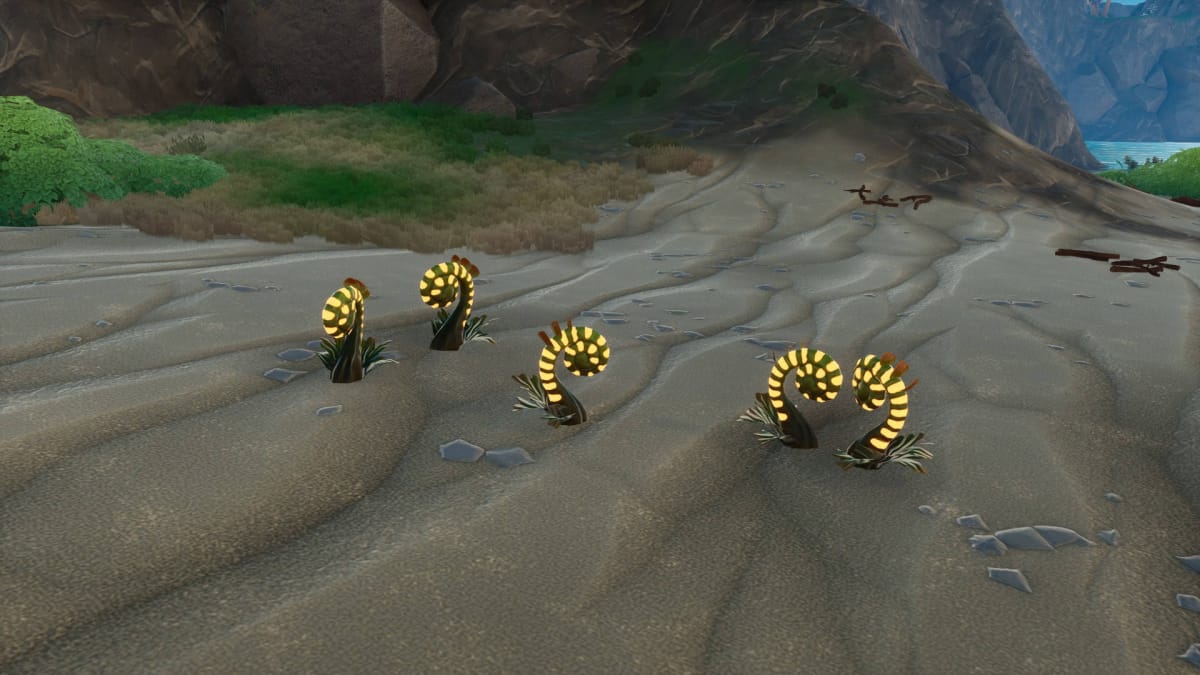 Five pieces of Coilvine Stem on a sandy beach