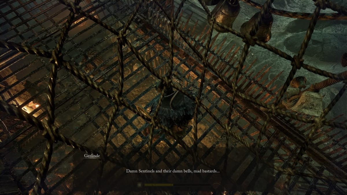 Looking down at Gerlinde's cage.
