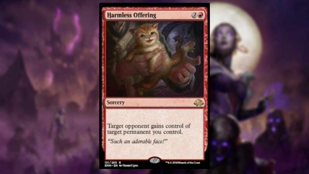 magic the gathering card in red featuring an image of a man holding a very cute kitten in his hands as it looks at the viewer