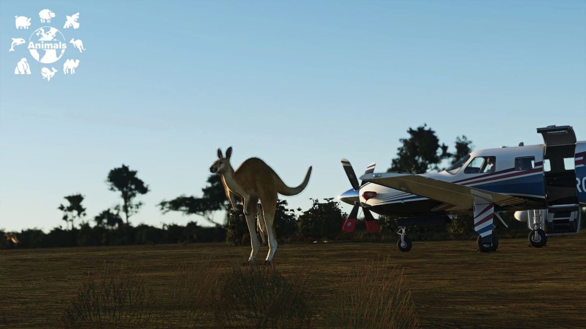 Microsoft Flight Simulator Animals - A Kangaroo jumps in front of a TBM