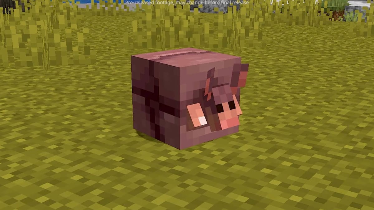 A rolled up armadillo in Minecraft