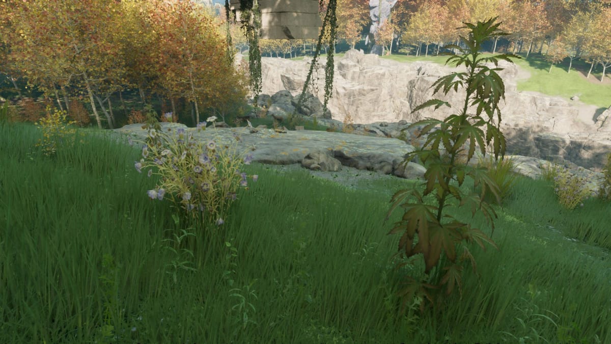 Nightingale Resources Guide - Plant FIbre in a Forest Biome