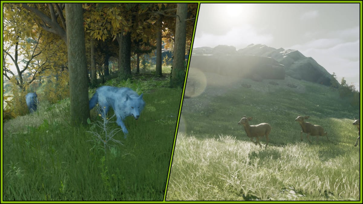 Nightingale Resources Guide - Predator and Prey in a Forest Biome
