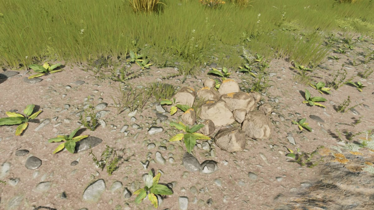 Nightingale Resources Guide - Rocks on the ground in a Forest Biome