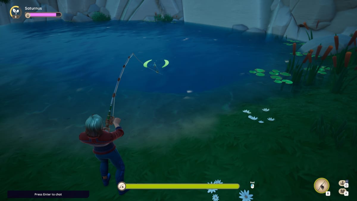 Attempting catch a fish in a pond.