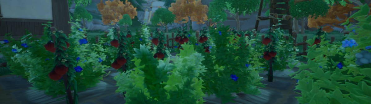 Palia Gardening Guide - Garden Filled with Tomatoes and Blueberries