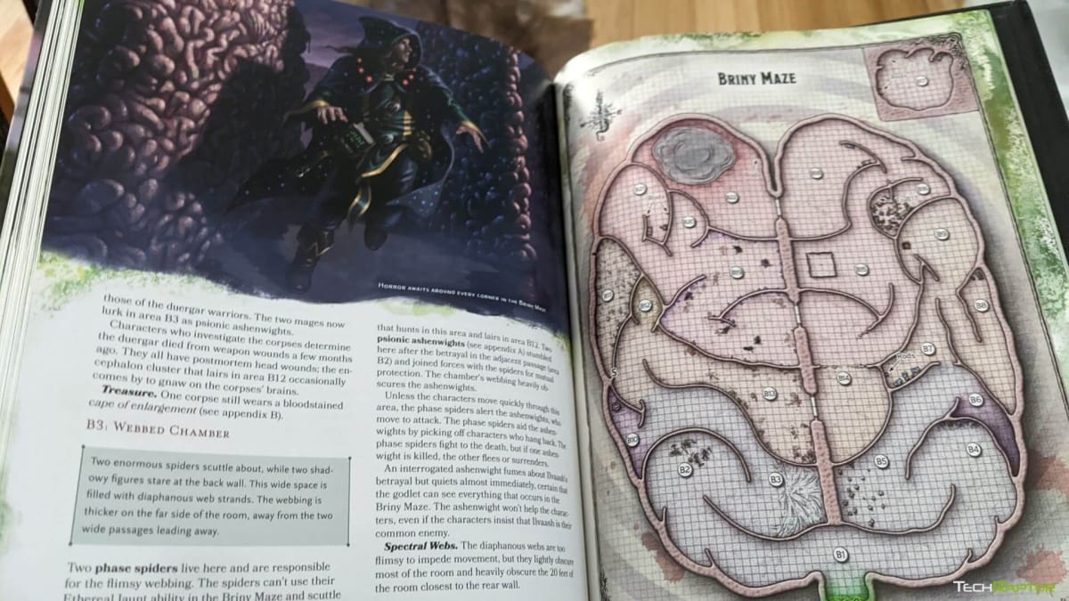 A maze in the shape of a brain from Phandelver and Below