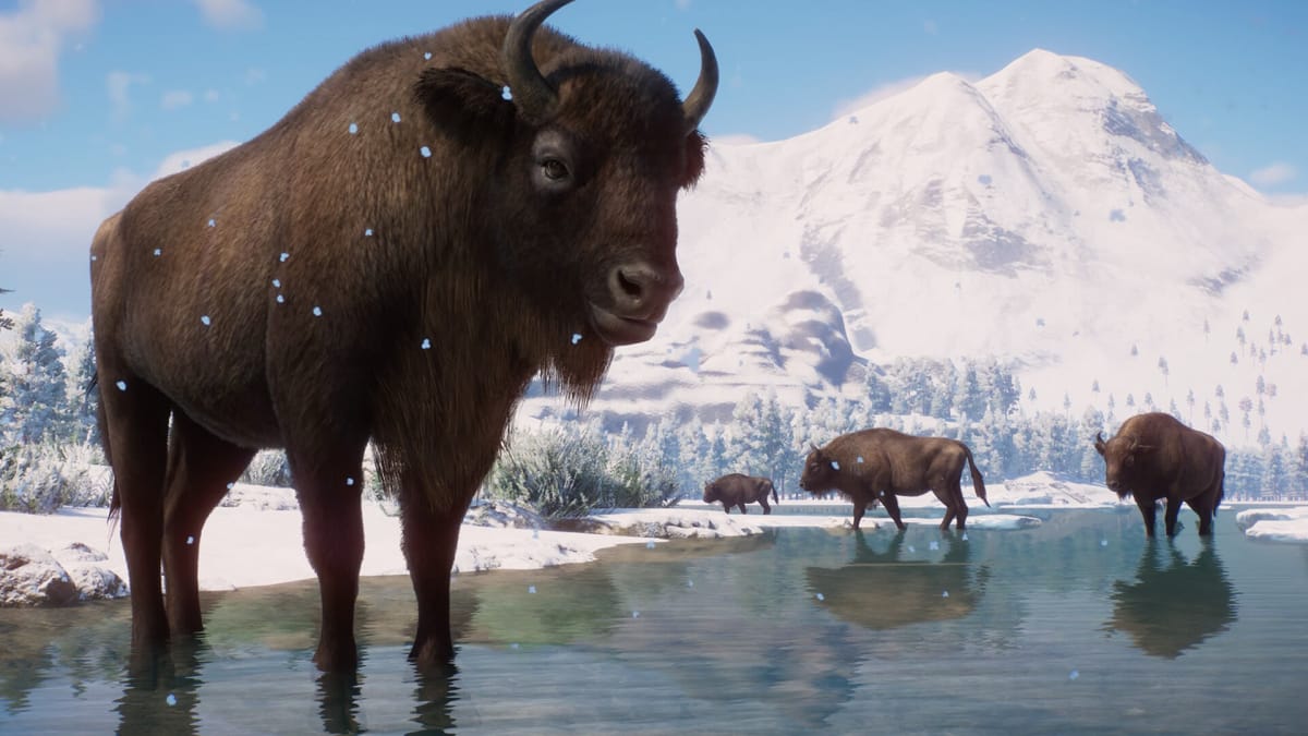 A wisent grazing in the new Planet Zoo expansion Eurasia Animal Pack