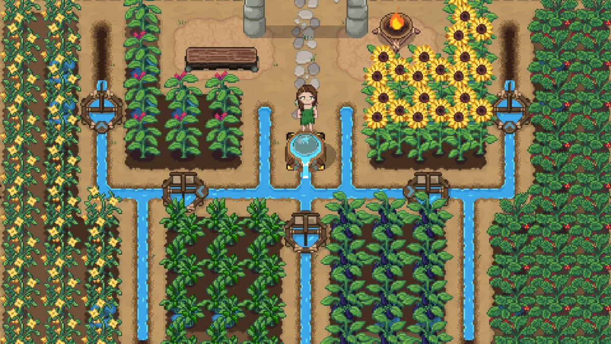 The player standing on a farm with symmetrical-looking crops in Roots of Pacha