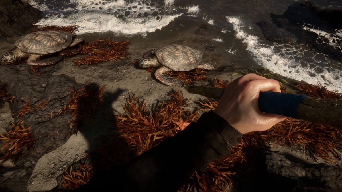 The player brandishing an improvised wooden spear at some sea turtles in Sons of the Forest