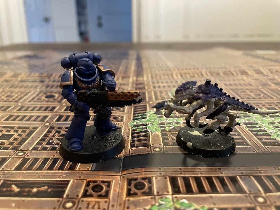 Warhammer 40K Introductory Set Review painted miniatures, one space marine and one Tyranid