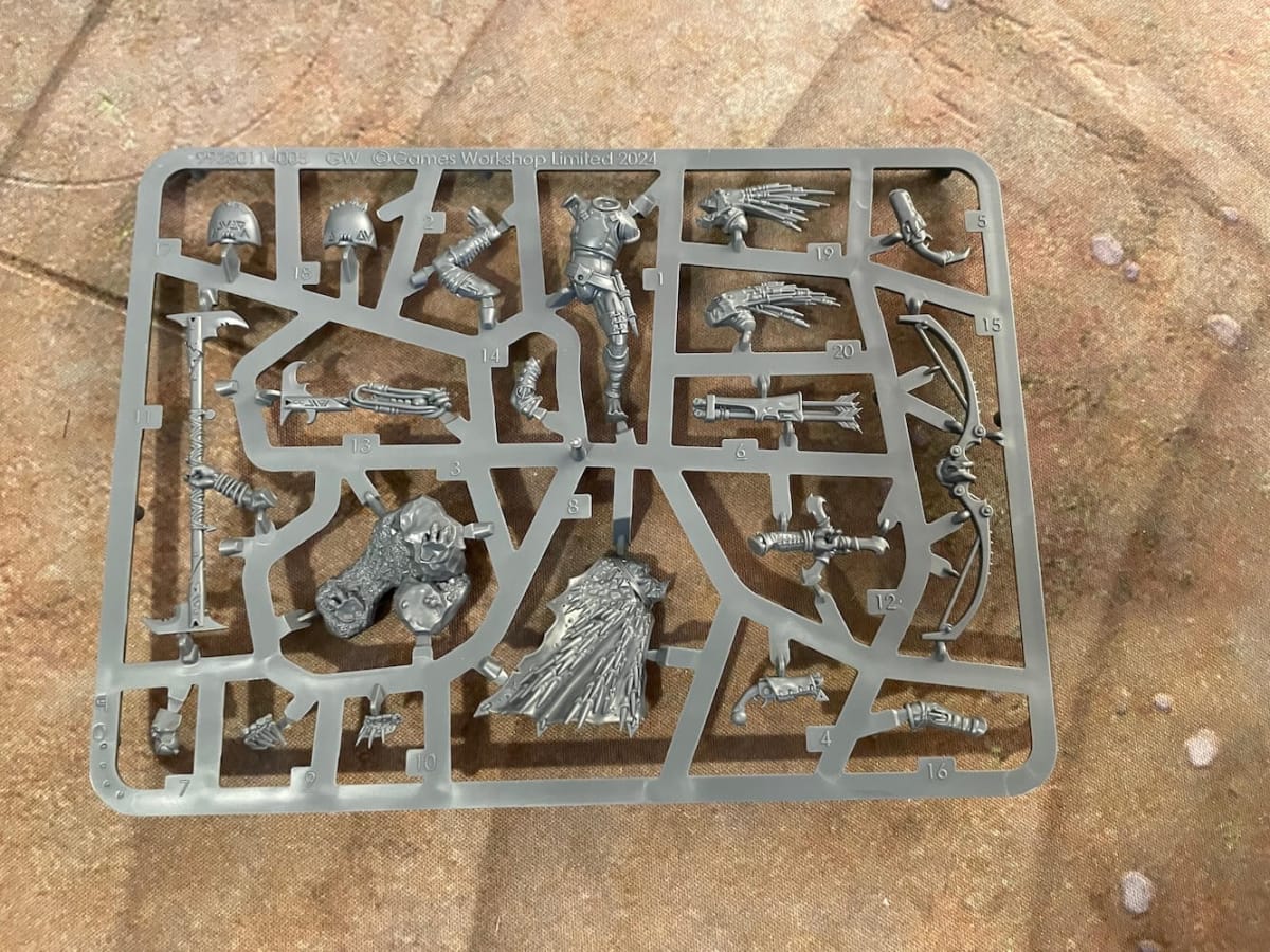 This is an image of the sprue for the Kroot War Shaper as found in the Kroot Hunting Pack