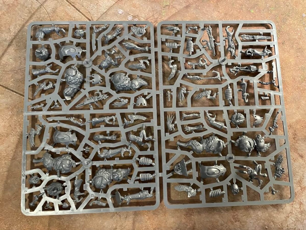 This is an image of the sprue for the Krootox Rampagers as found in the Kroot Hunting Pack