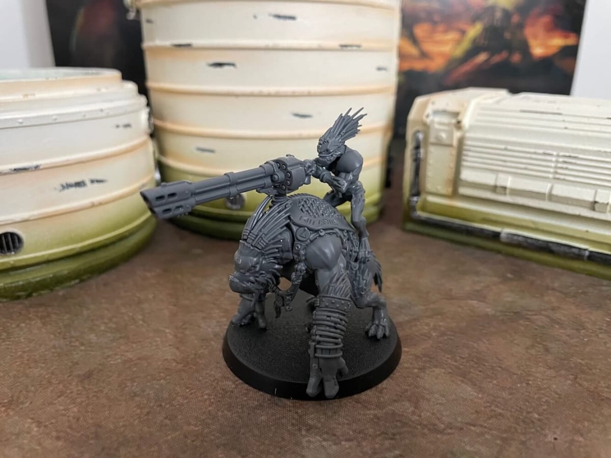 The Krootox Rider from the Kroot Hunting Pack