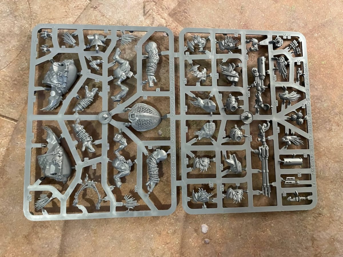 This is an image of the sprue for the Krootox Riders as found in the Kroot Hunting Pack