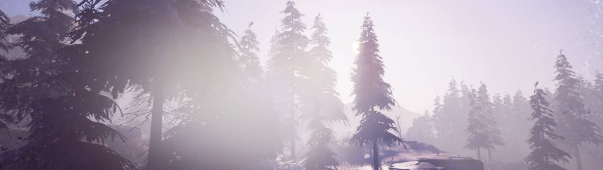 Winter Survival Guide - F.A.Q. Header Trees with Sunlight Behind Them