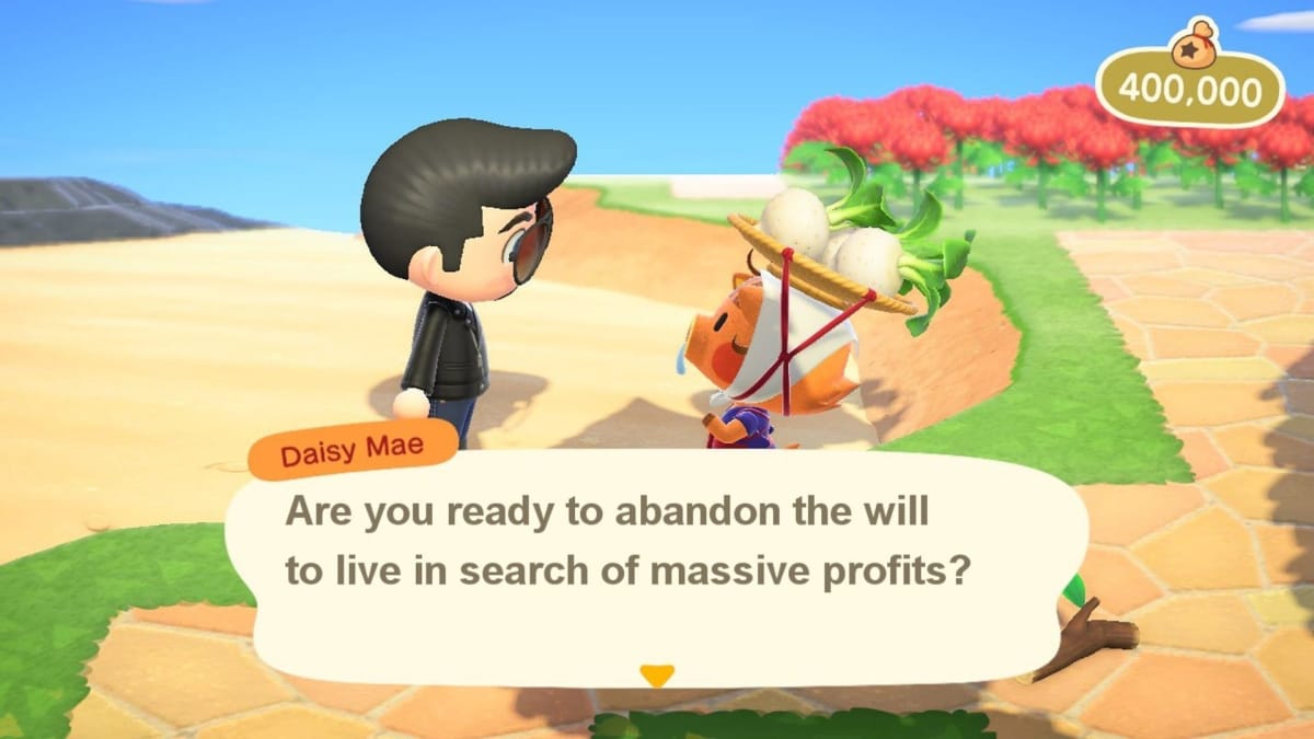 Animal Crossing New Horizons Screenshot Player Character Talking with Daisy Mae The Turnip-Selling Warthog