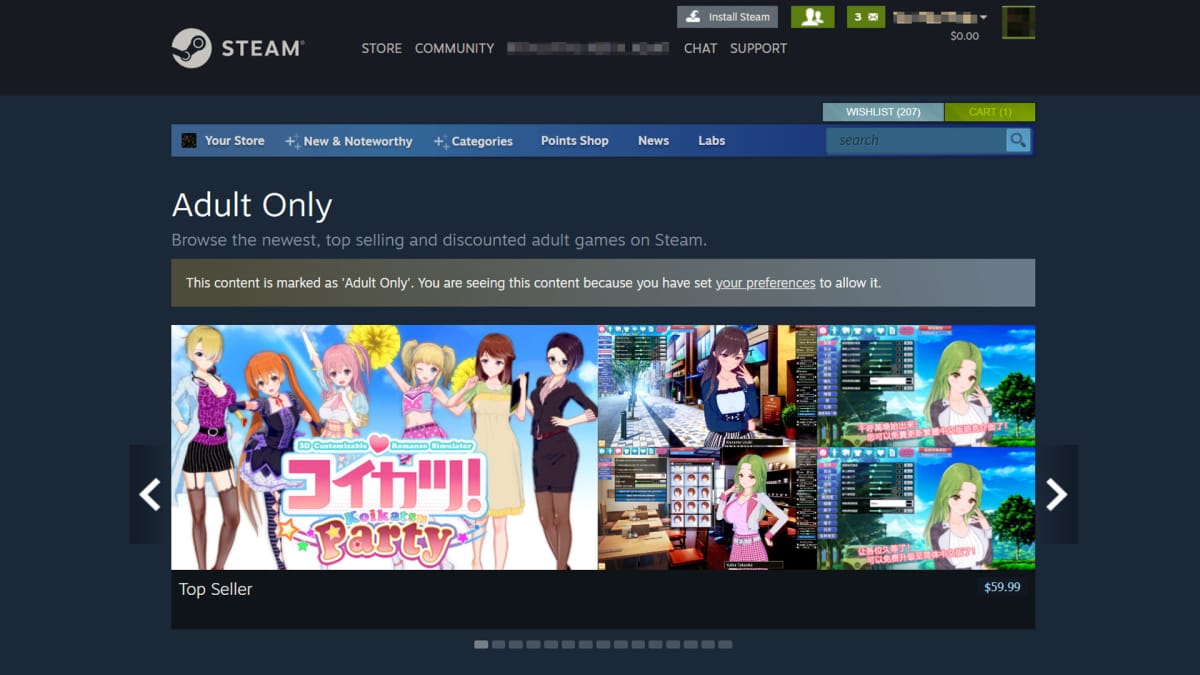 Steam Adult Only games cover