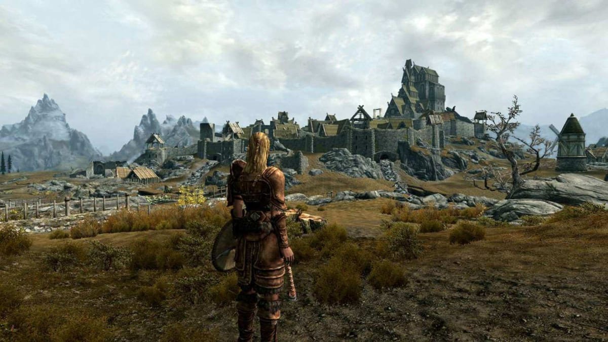 A scenic shot from Skyrim.