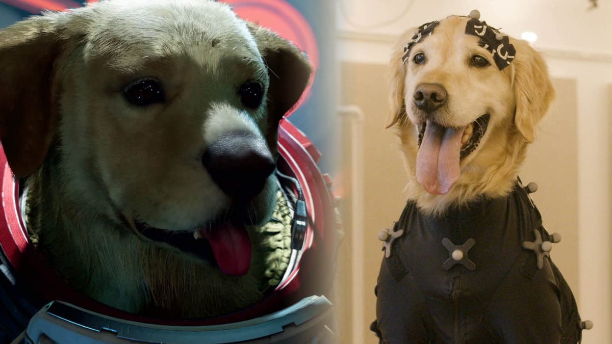 Cosmo, the dog from Marvel's Guardians of the Galaxy game next to Diego, the motion-capture golden retriever