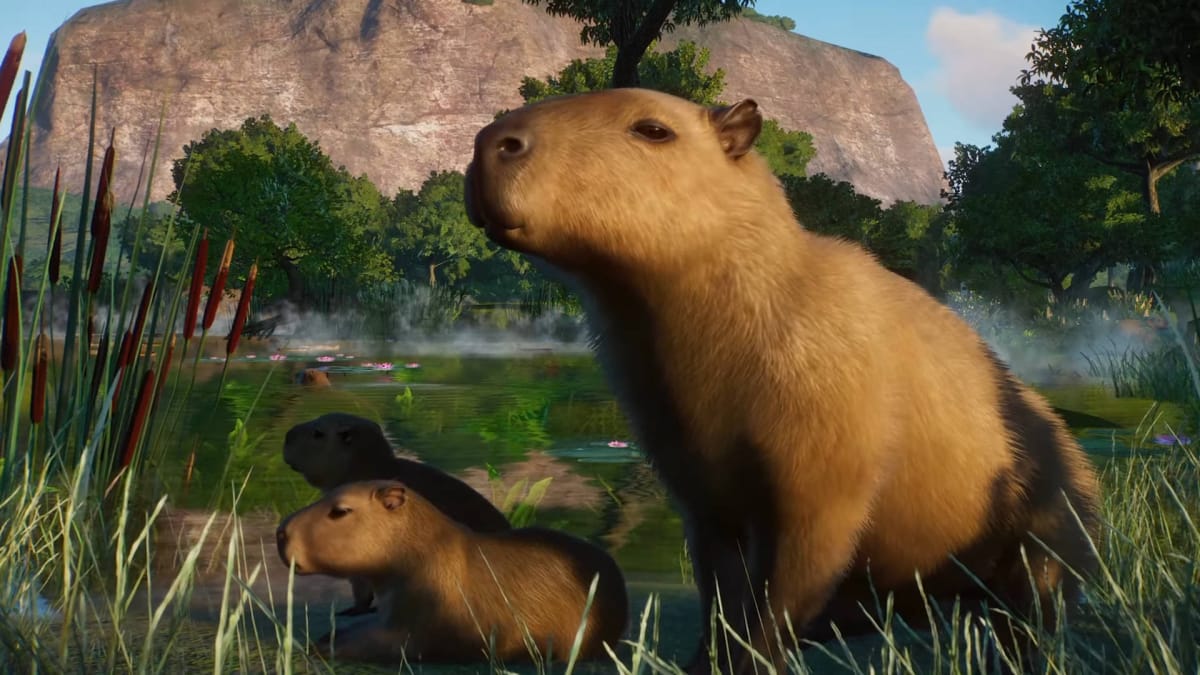 Planet Zoo Update 1.9 Wetlands Animal Pack Release Date cover