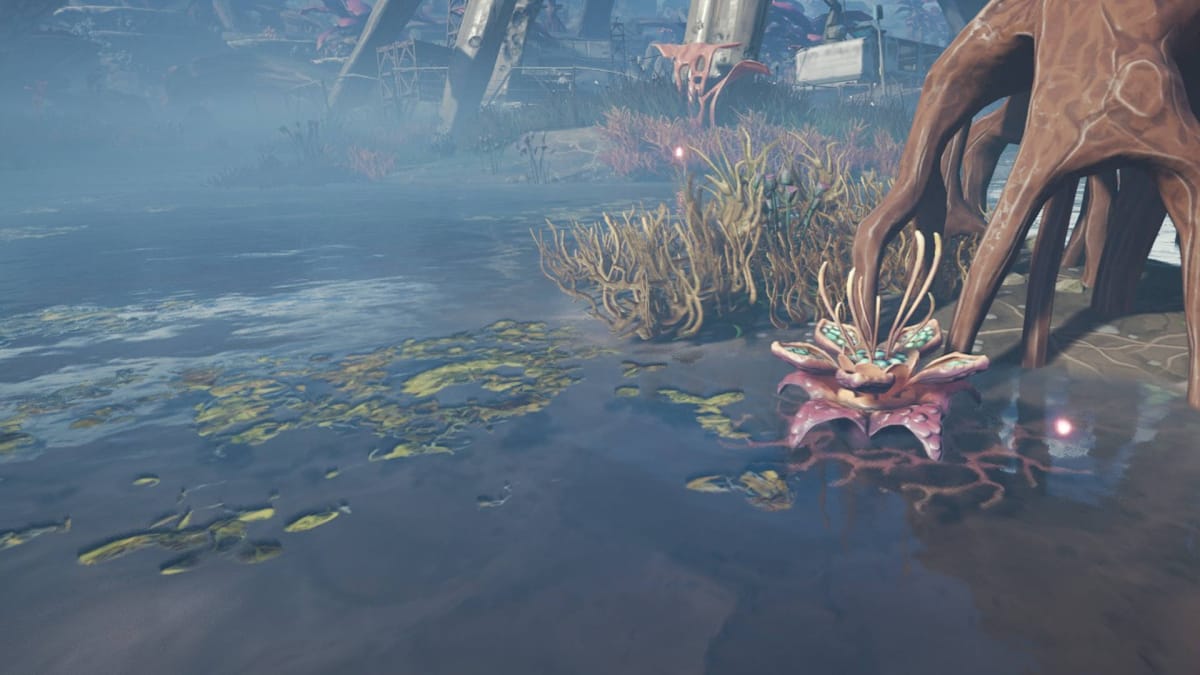 Where to Find Waterweed Filament in The Cycle Frontier - cover