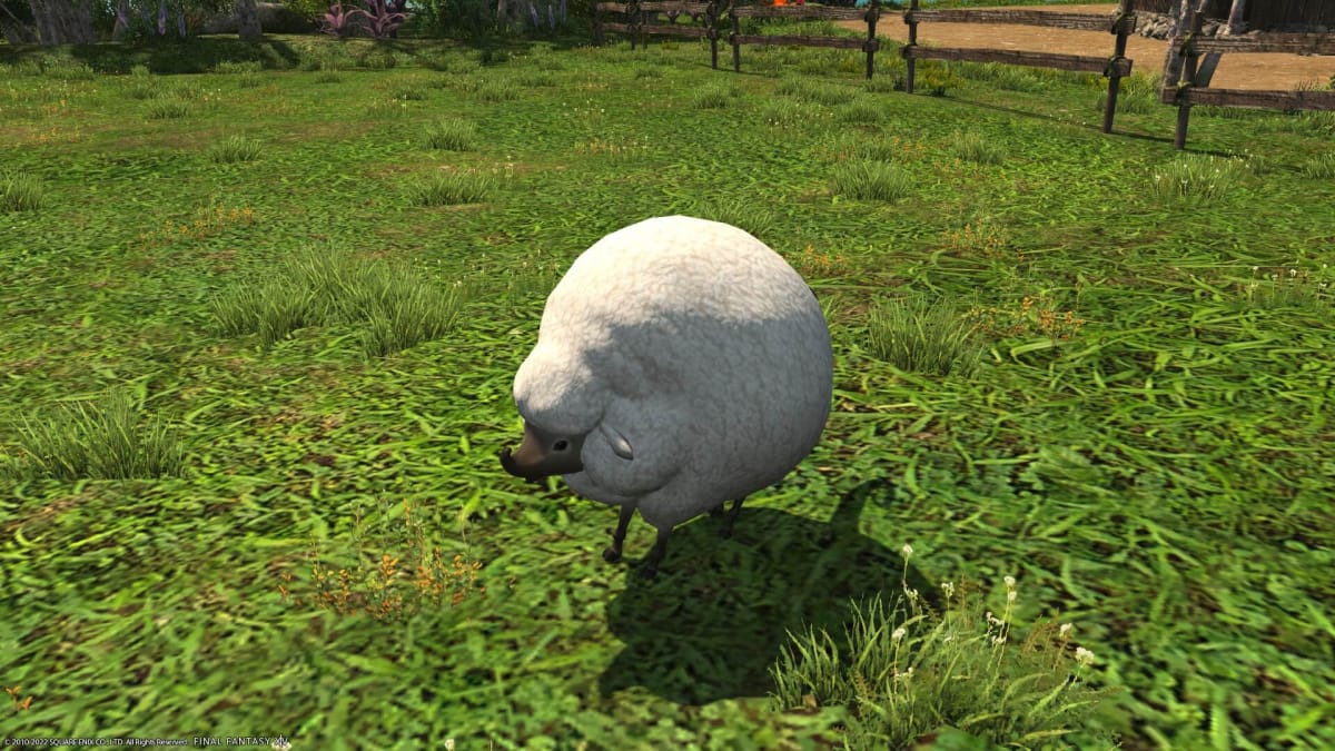 Catch 'em all with our Final Fantasy XIV Island Sanctuary Animal Guide header.