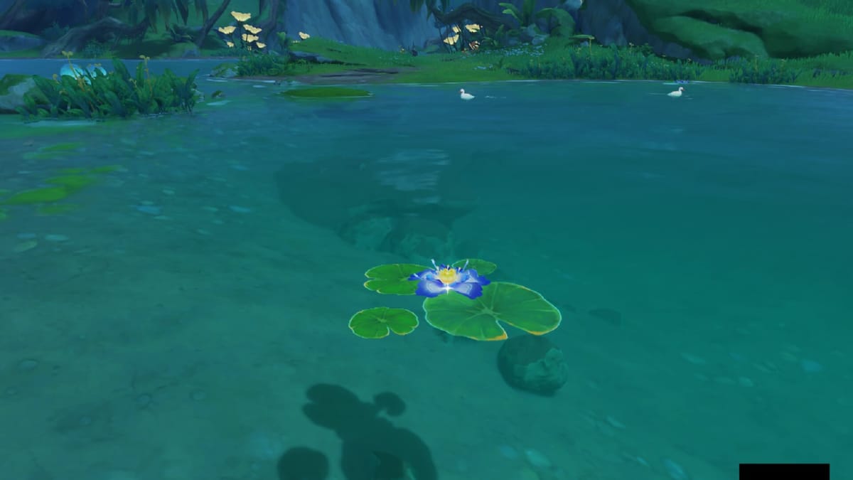 Image of Nilotpala Lotus Floating On The Water Genshin Impact