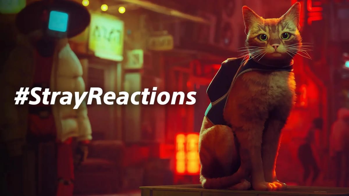 The cute orange cat protagonist from Stray with #StrayReactions next to them for the Stray Reactions initiative