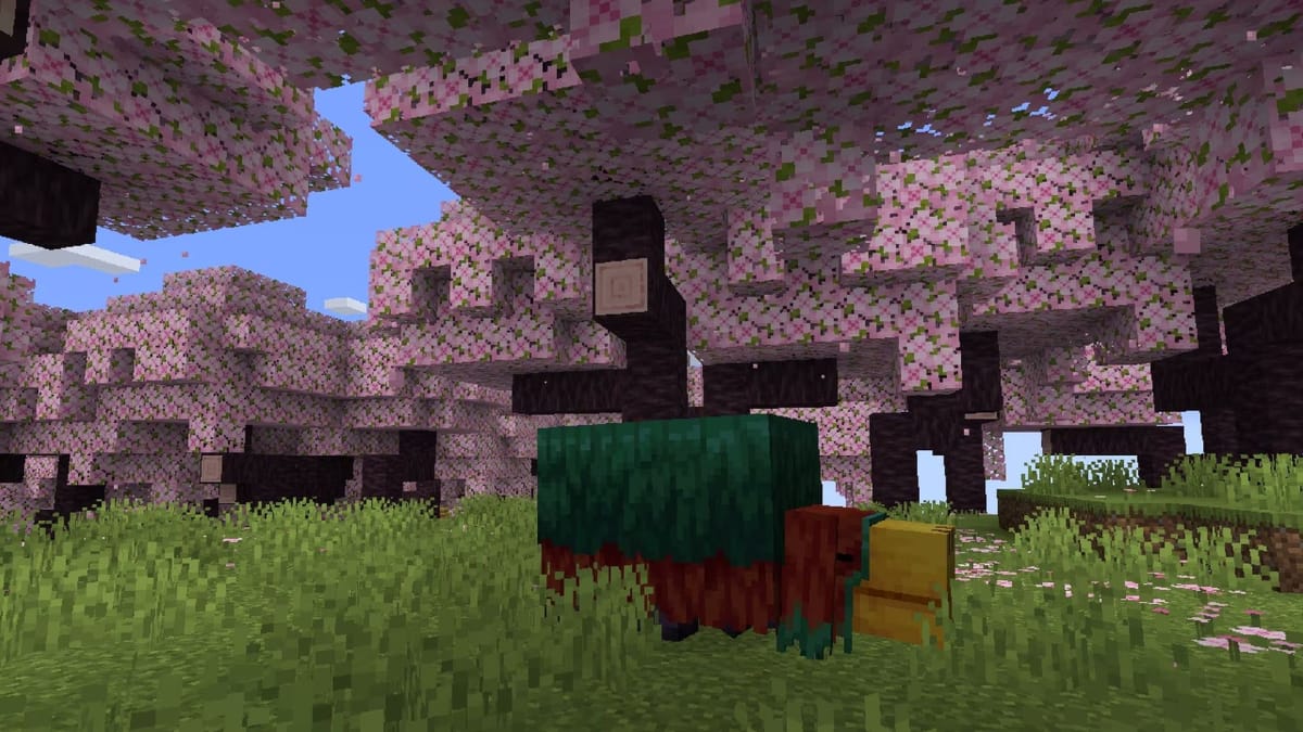 Minecraft Cherry Blossom Biome