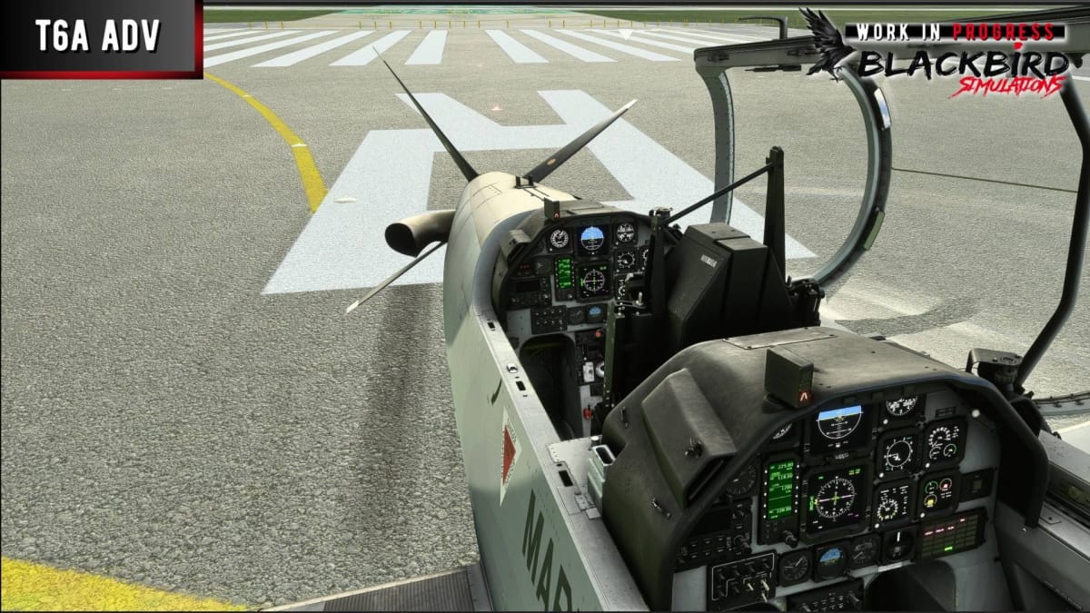 Microsoft Flight Simulator Texan 2 (1)