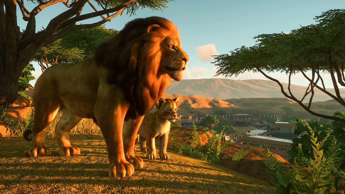 Two lions looking out over a zoo in Planet Zoo