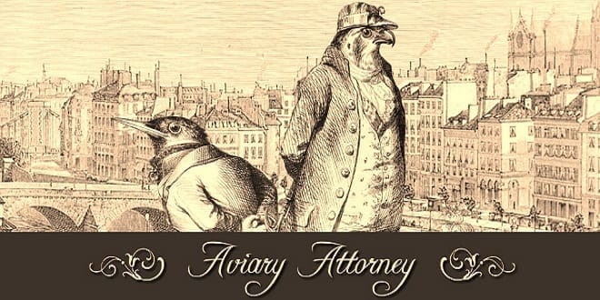 Aviary Attorney Review