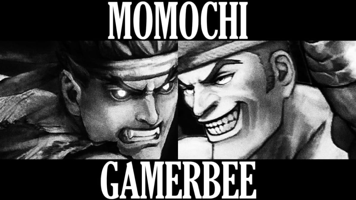 FGC Match Spotlight - Momochi vs GamerBee Evo 2015