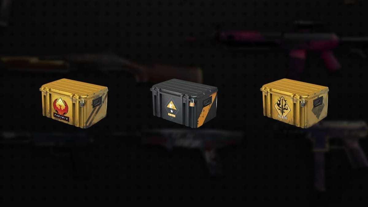 Counter-Strike Global Offensive Weapon Cases