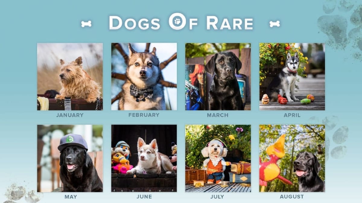 dogs of rare