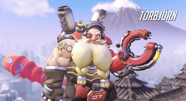 Torb cover