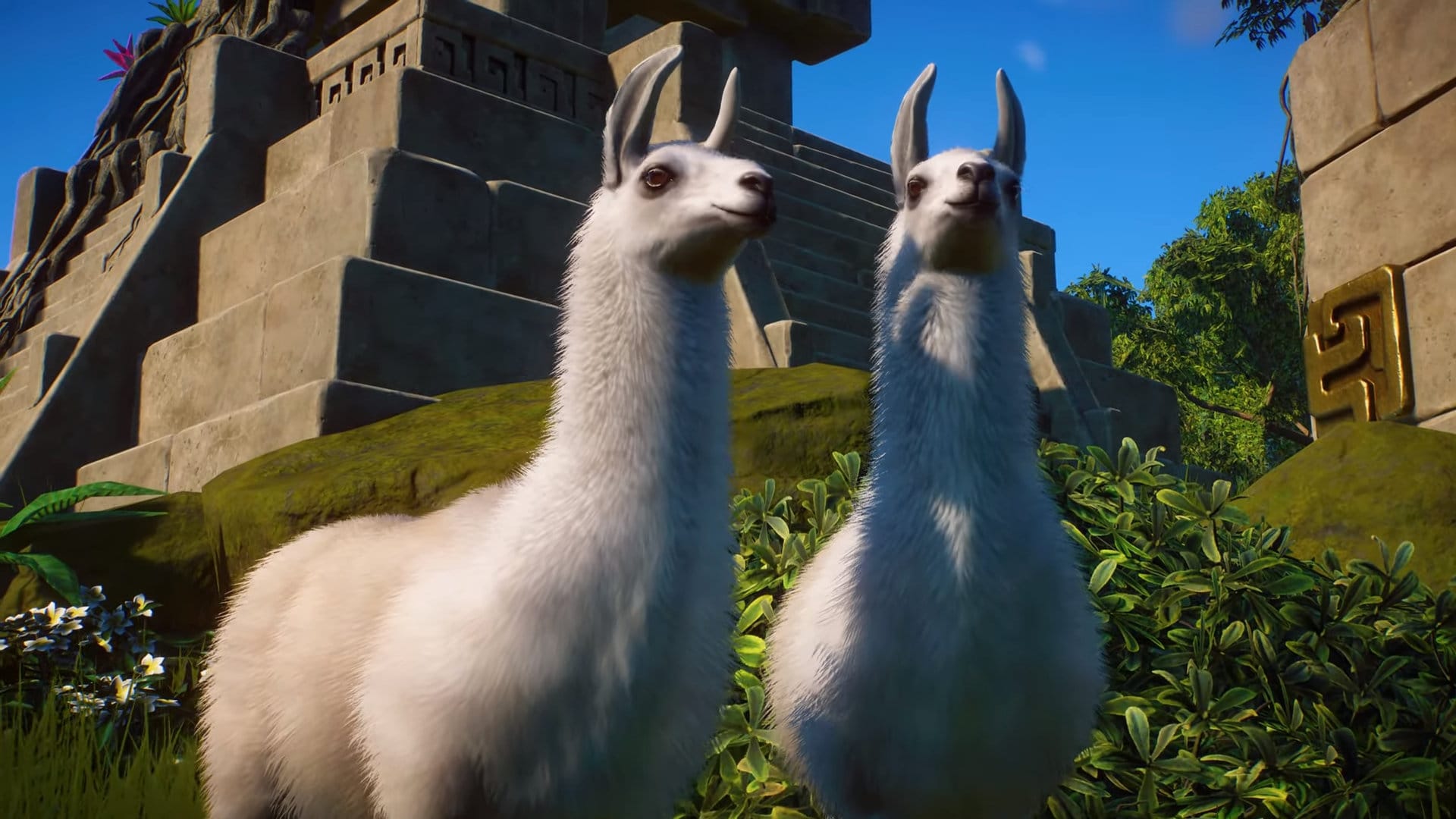 Planet Zoo  Update Delivers Quality-Of-Life Improvements in December |  TechRaptor