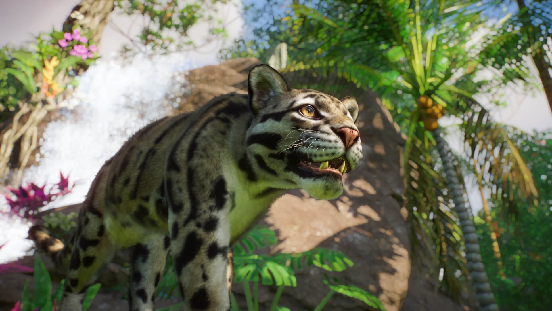 The Clouded Leopard, which is available along with 7 other animals in the new Planet Zoo DLC pack