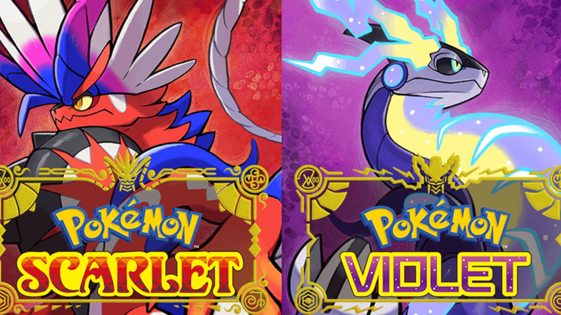 A Pokémon Scarlet/Violet Cheat Sheet Wallpaper : r/PokemonScarletViolet