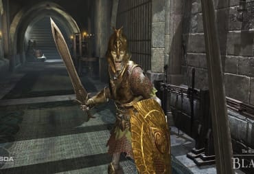 Elder Scrolls Blades Screenshot