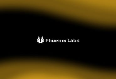 Dauntless developer Phoenix Labs cover