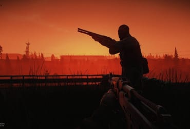 A scavenger behind a sunset