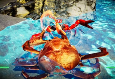 Fight Crab Preview Image