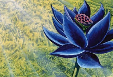 Black Lotus - Art