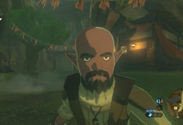 A Breath of the Wild NPC modeled after Matt from Wii Sports.